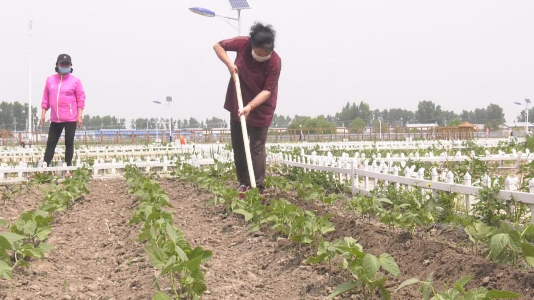 绥滨县自然资源和规划局最新动态报道